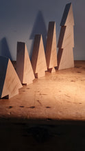Load image into Gallery viewer, Christmas Gifts- large Ash mini-Trees