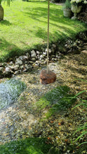 Load image into Gallery viewer, Child's rope swing - "Wheeee!"