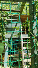 Load image into Gallery viewer, Jungle Slide & Bunty House