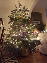 Load image into Gallery viewer, Christmas Tree Box 4 - "Calling Birds"