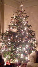 Load image into Gallery viewer, Christmas Tree Box 2 - "Turtle Doves"