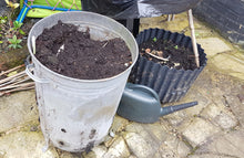 Load image into Gallery viewer, Planter - "Quandry"