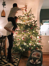 Load image into Gallery viewer, Christmas Tree Box 4 - "Calling Birds"