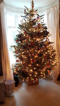 Load image into Gallery viewer, Christmas Tree Box 1 - "Partridge in a Pear Tree"